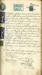 documento142