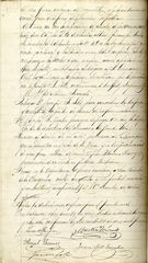 documento175