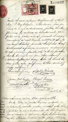 documento135