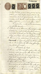 documento81