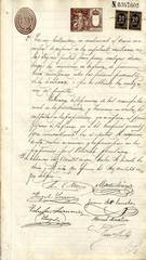 documento131