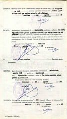 documento61