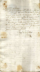 Documento15