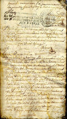 documento8