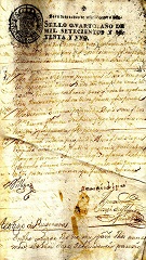 documento39