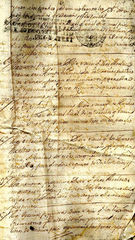 documento41