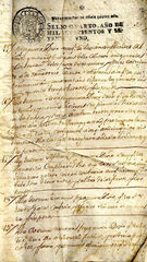 documento43
