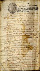 documento54