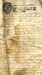 documento55