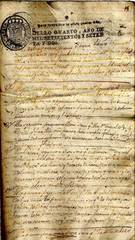documento24