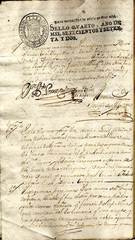 documento29