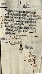documento119
