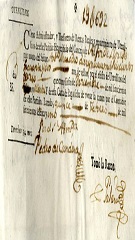documento146