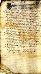 documento8