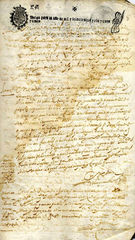documento19