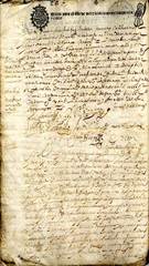 documento29