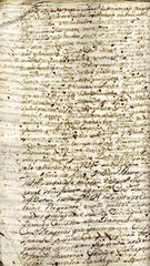 documento80