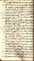 documento113