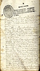 documento135