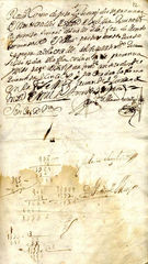 documento11