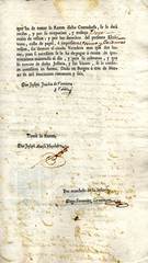 documento11
