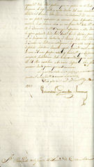 documento77