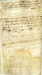 documento95