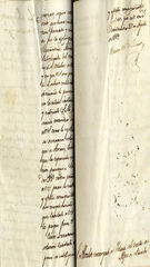 documento135