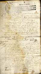documento81