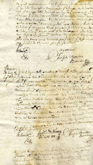 documento82