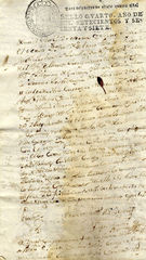 documento88