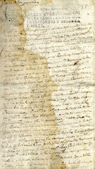 documento91