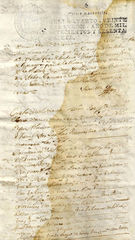 documento94