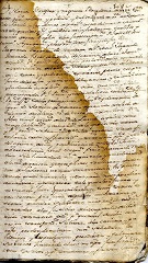 documento184