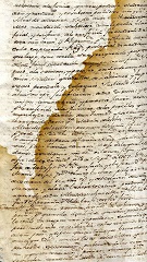 documento185