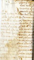 documento204