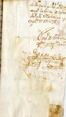 documento205