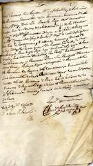 documento219