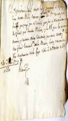 documento223