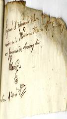 documento231