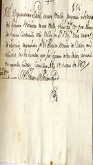 documento241