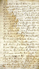 documento262