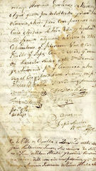 documento263