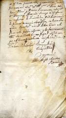 documento264