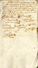 documento29