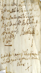 documento54