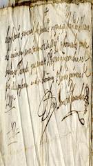 documento62