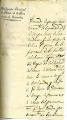 Documento225