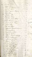 Documento246