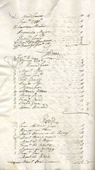 Documento251